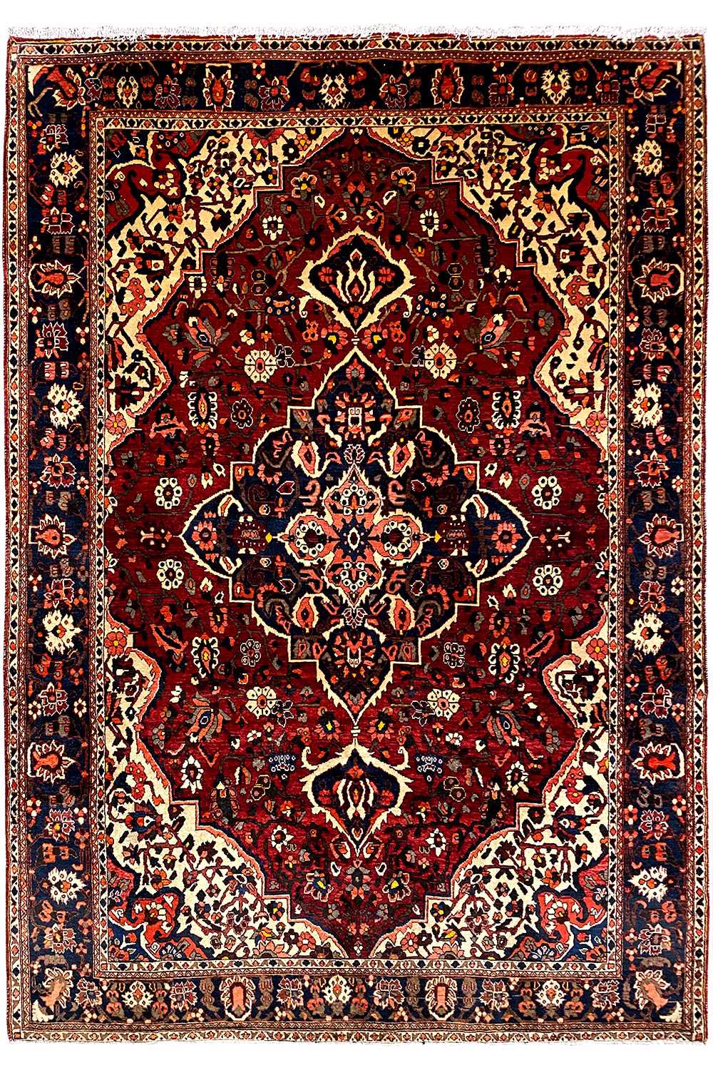 Bakhtiari (306x207 cm) - German Carpet Shop