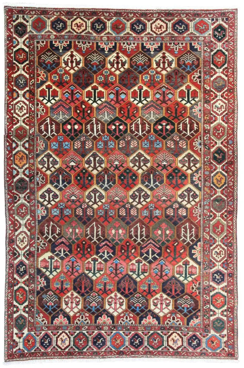 Bakhtiari - (312x210 cm) - German Carpet Shop
