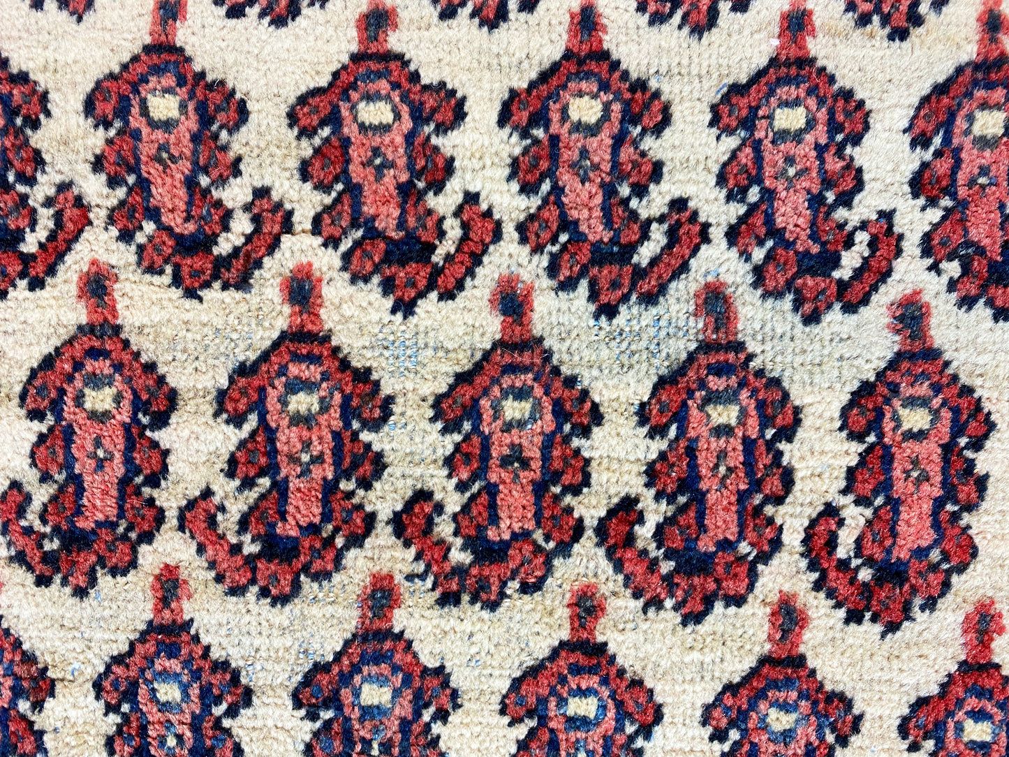 Arak Teppich - 308x197 cm