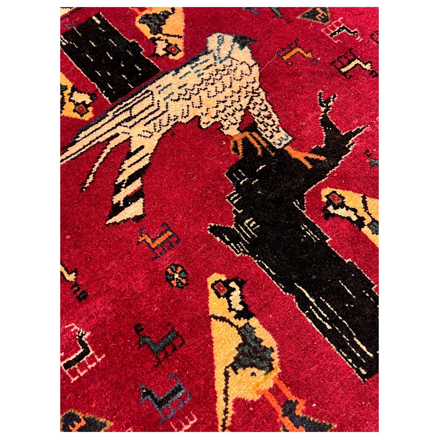 Poshti Teppich 65x63 cm - German Carpet Shop