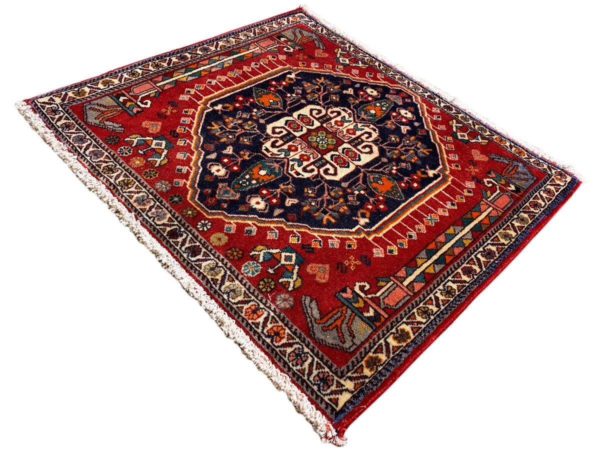 Tapis à fond rouge et médaillon central sombre, rectangulaire, bordé de franges