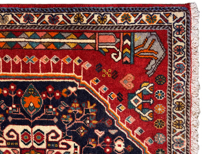 Détail du tapis : champ ornemental rouge et bleu avec bordure multicolore et franges